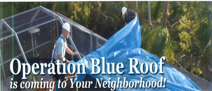 OPERATION BLUE ROOF